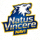 Natus Vincere CSGO战队Logo